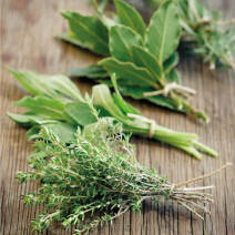 Linia Pure Herbs
